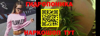 PSILOCYBIN Будённовск