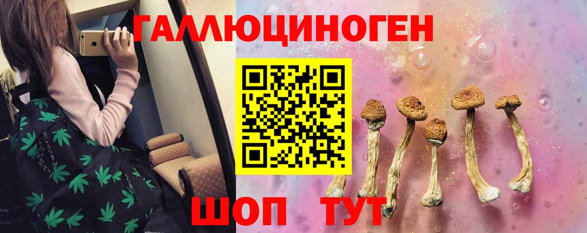 Псилоцибиновые грибы Cubensis  Псилоцибиновые грибы MAGIC MUSHROOMS  Сатка  Вход с VPN 
